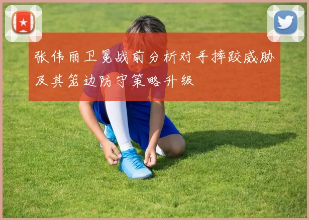 张伟丽卫冕战前分析对手摔跤威胁及其笼边防守策略升级